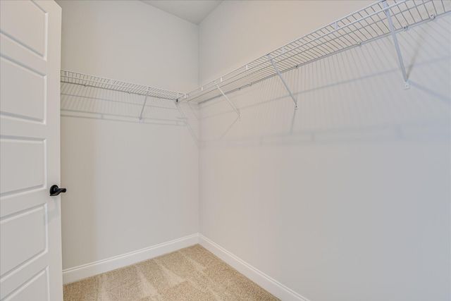 3203 Tracker Lane, Warrenville, SC 29851