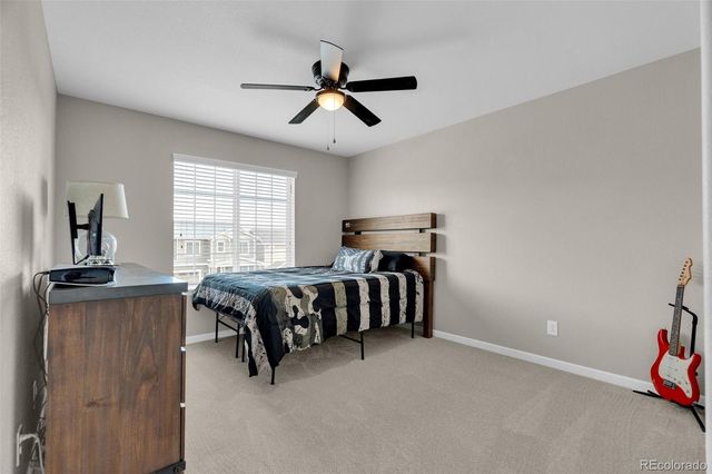 1990 Treetop Drive, Castle Rock, CO 80109