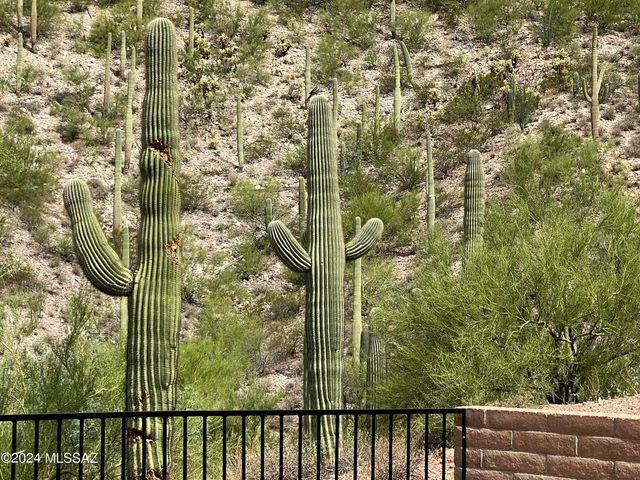 6821 N Quartzite Canyon Place, Tucson, AZ 85718