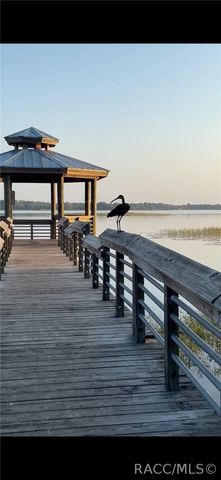 2845 N Lakefront Drive, Hernando, FL 34442