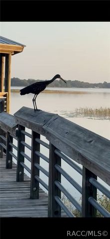 2845 N Lakefront Drive, Hernando, FL 34442