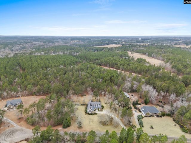 124 Lewis Court, Gilbert, SC 29054