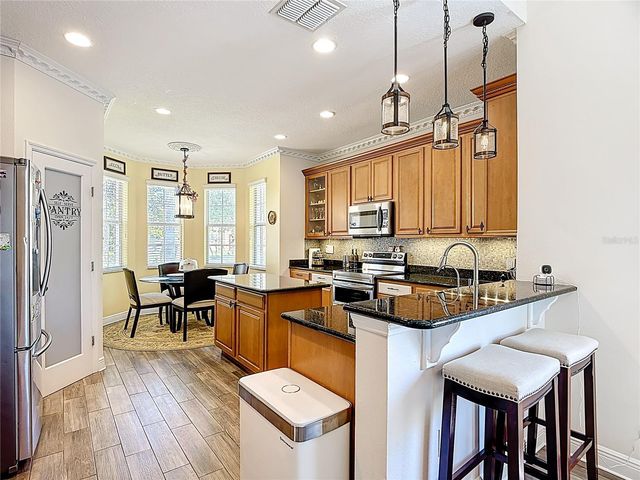 3843 GOLDEN KNOT DRIVE, Kissimmee, FL 34746