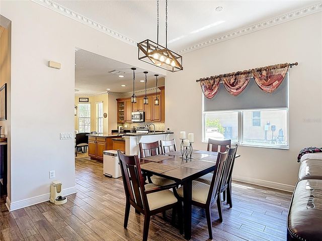 3843 GOLDEN KNOT DRIVE, Kissimmee, FL 34746