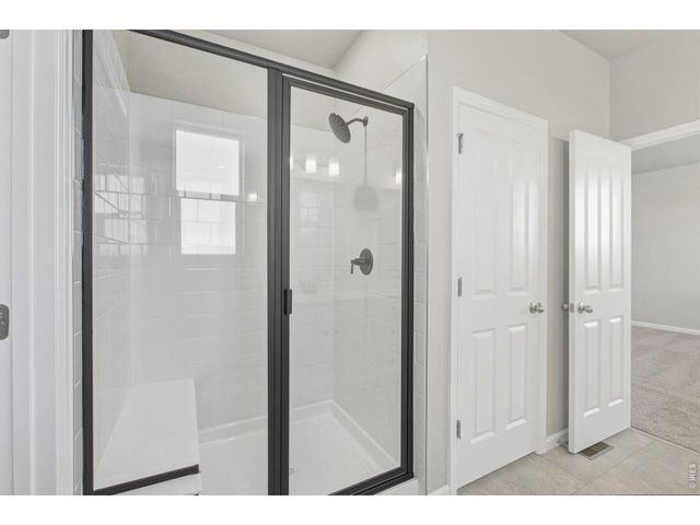 16933 Ballinger Cir, Mead, CO 80542