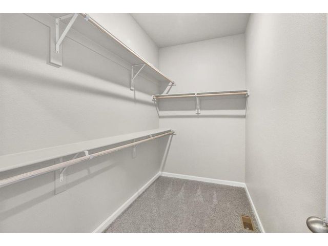 16933 Ballinger Cir, Mead, CO 80542