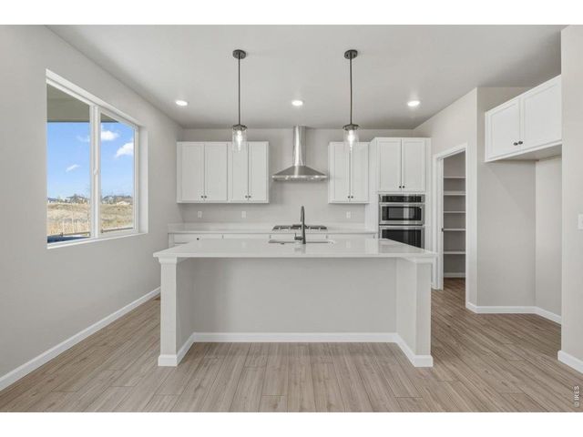 16933 Ballinger Cir, Mead, CO 80542
