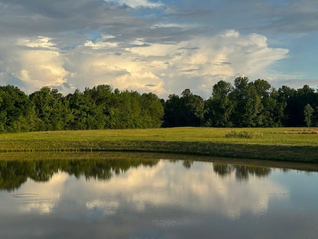 410 CYPRESS VILLAGE LN, Eads, TN 38028
