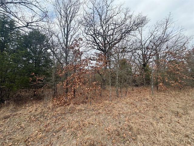 118 POCAHONTAS Street, Mabank, TX 75156