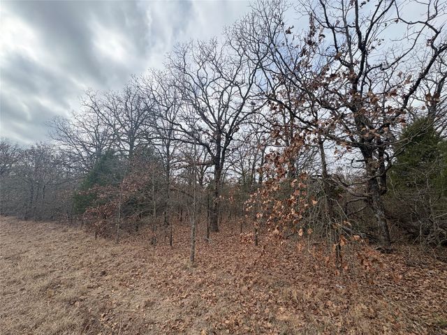 118 POCAHONTAS Street, Mabank, TX 75156