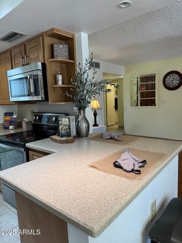 9626 E Navajo Place, Sun Lakes, AZ 85248