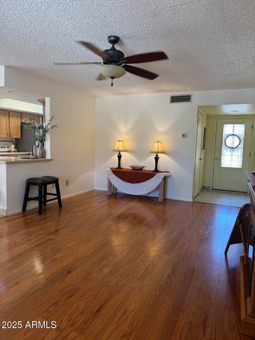 9626 E Navajo Place, Sun Lakes, AZ 85248