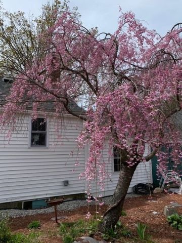 111 Main Street, New Ipswich, NH 03071