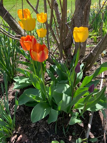 111 Main Street, New Ipswich, NH 03071