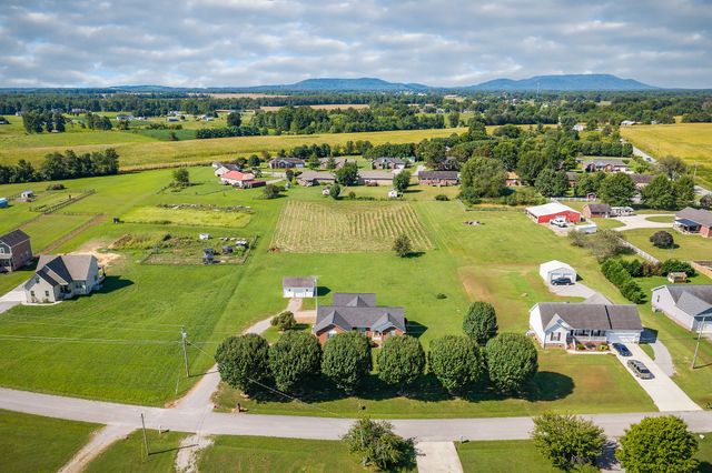 186 Pine Creek Dr, Smithville, TN 37166