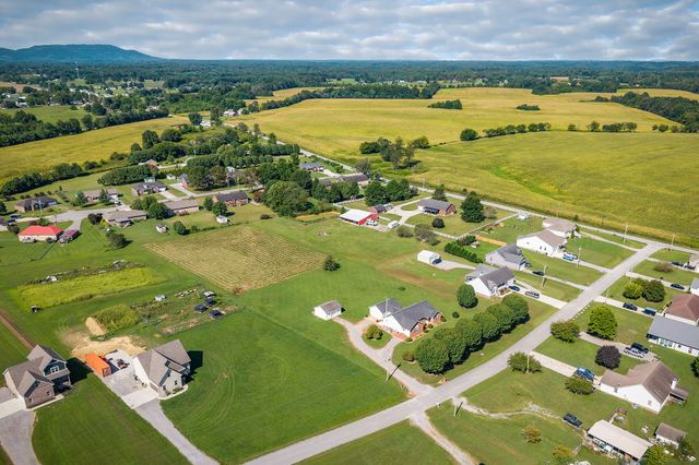 186 Pine Creek Dr, Smithville, TN 37166