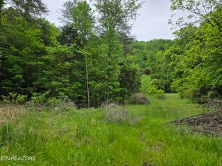 TR 3 BOATMANS MOUNTAIN-TR-3, Morristown, TN 37814