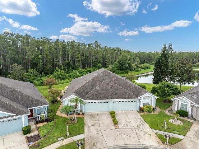 19320 HASKELL PLACE, Land O Lakes, FL 34638