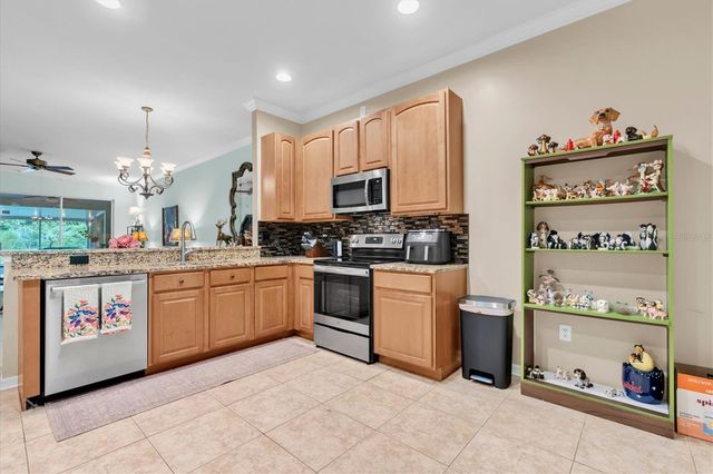 19320 HASKELL PLACE, Land O Lakes, FL 34638