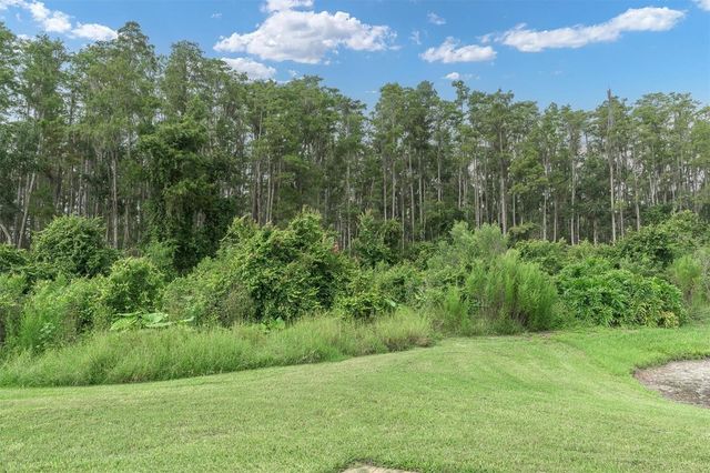 19320 HASKELL PLACE, Land O Lakes, FL 34638