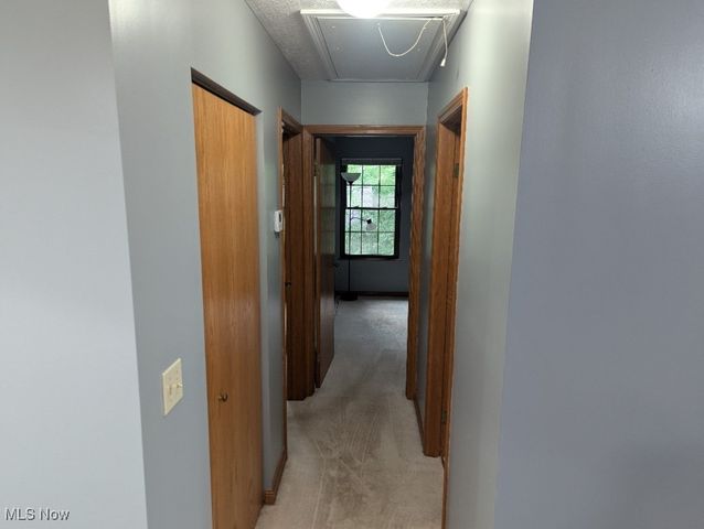 1133 Red Tail Hawk Court 6, Boardman, OH 44512