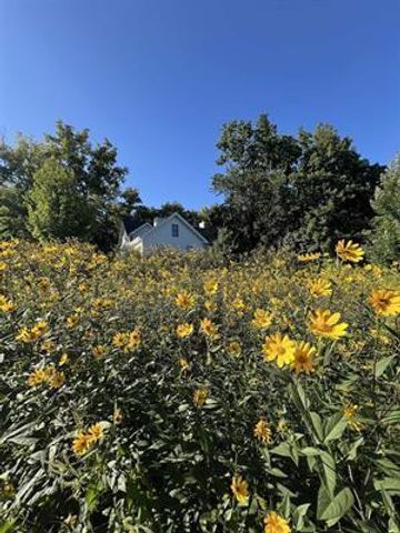 7594 Watch Hill Court, Verona, WI 53593