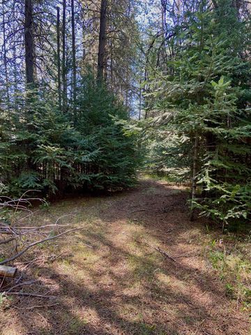 281 Willys Way, Newport, WA 99156