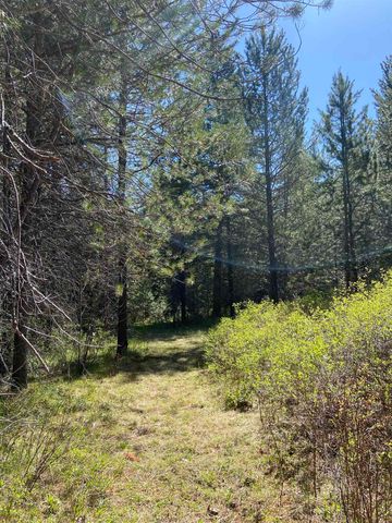 281 Willys Way, Newport, WA 99156