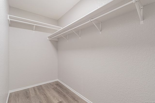 9934 Bermuda Palm, San Antonio, TX 78245