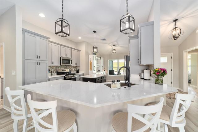 6849 MICKYLEE RUN, The Villages, FL 34762