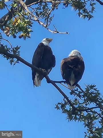 13202 CHERWIN, Baltimore, MD 21220