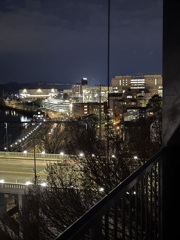 608 W Hill Ave Apt 602, Knoxville, TN 37902