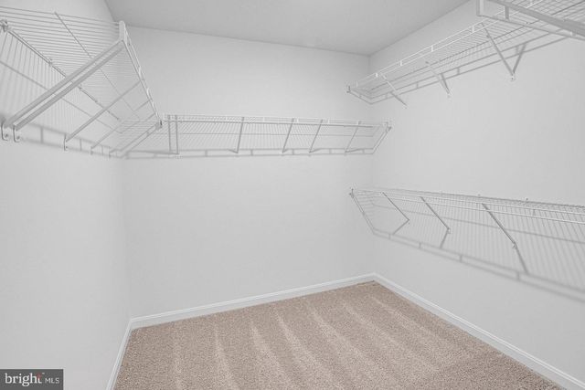 35603 PINE NEEDLE LN, Locust Grove, VA 22508