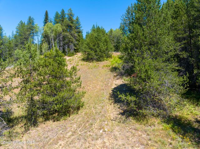 20acres Lamb Creek Rd, Priest Lake, ID 83856