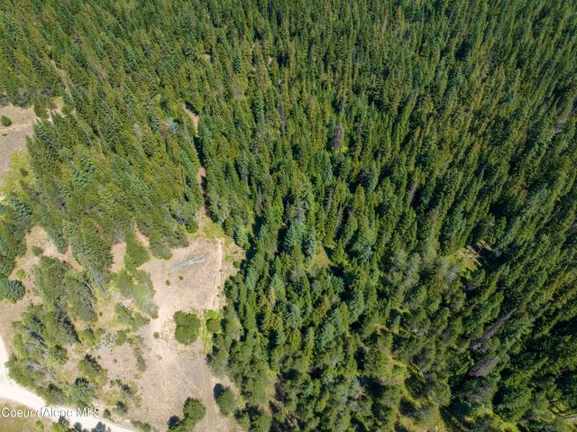 20acres Lamb Creek Rd, Priest Lake, ID 83856