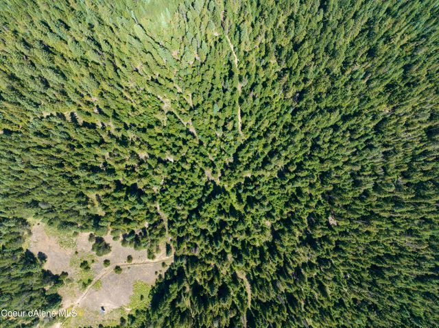 20acres Lamb Creek Rd, Priest Lake, ID 83856