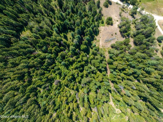 20acres Lamb Creek Rd, Priest Lake, ID 83856