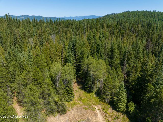 20acres Lamb Creek Rd, Priest Lake, ID 83856
