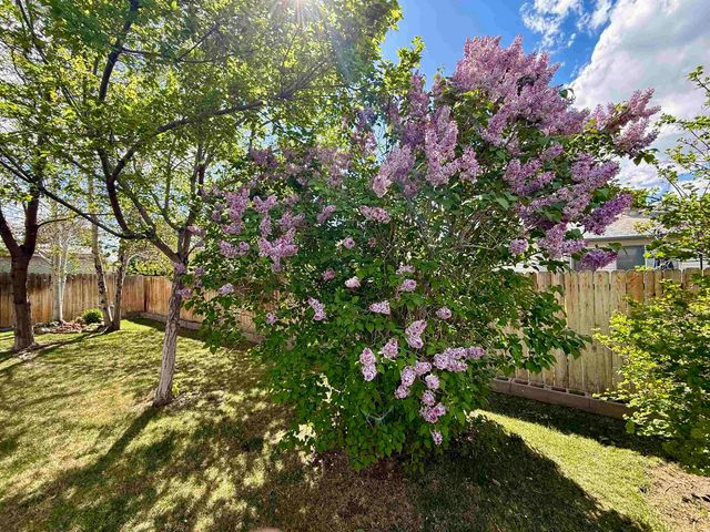 403 Pintail Avenue, Grand Junction, CO 81504