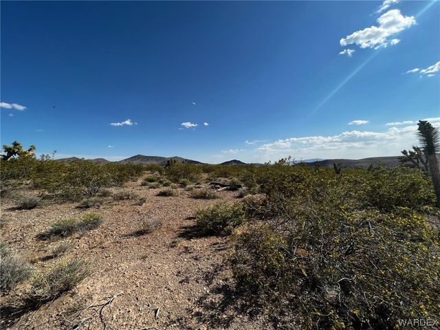 20618 N Deer Drive, White Hills, AZ 86445