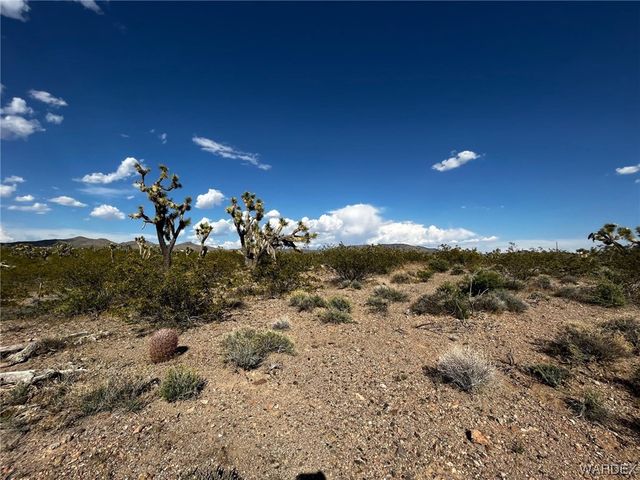 20618 N Deer Drive, White Hills, AZ 86445