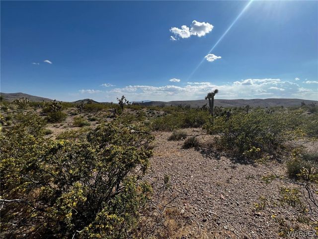 20618 N Deer Drive, White Hills, AZ 86445