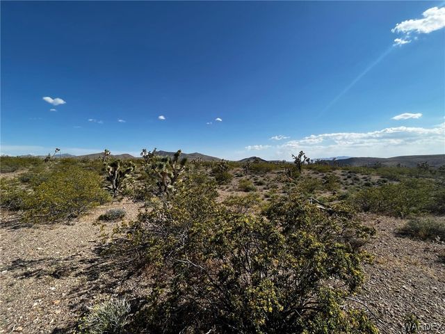 20618 N Deer Drive, White Hills, AZ 86445