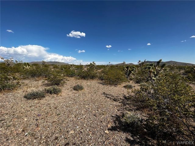 20618 N Deer Drive, White Hills, AZ 86445