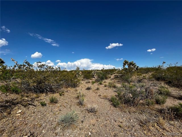 20618 N Deer Drive, White Hills, AZ 86445