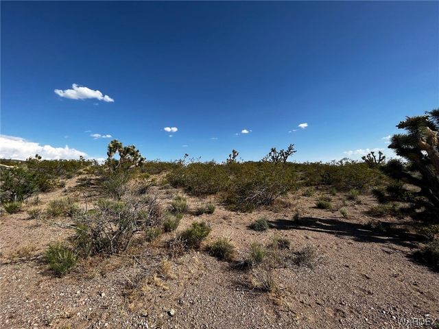 20618 N Deer Drive, White Hills, AZ 86445