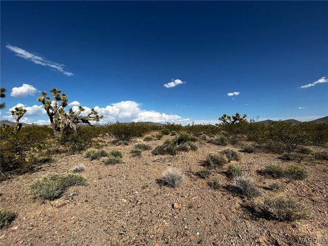 20618 N Deer Drive, White Hills, AZ 86445