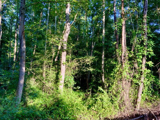 0 Copper Springs Road, Springville, TN 38256
