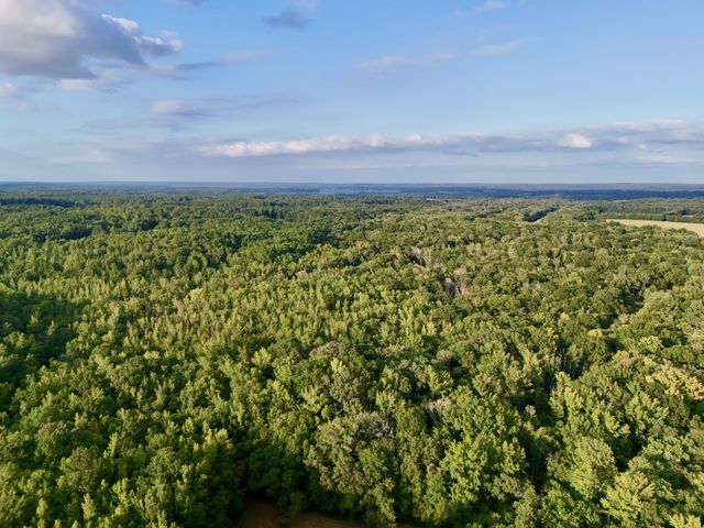 0 Copper Springs Road, Springville, TN 38256
