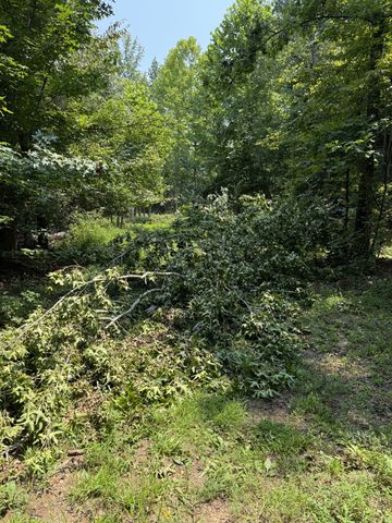 0 Copper Springs Road, Springville, TN 38256